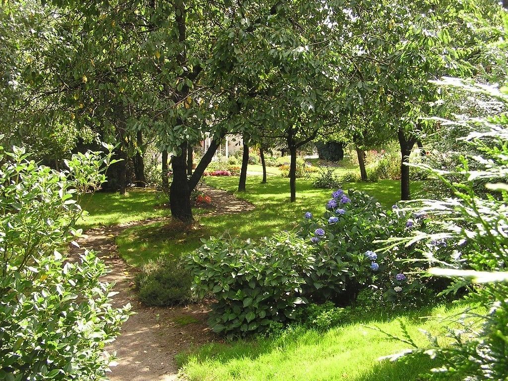 Un jardín con diversos árboles y arbustos, un sendero de grava y un césped bien cuidado.