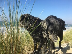Spiaggia