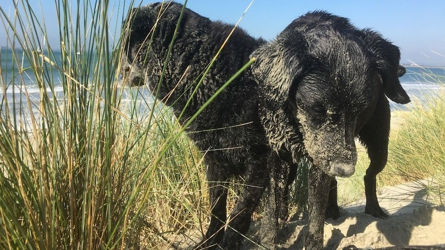 5 Charlton Mill Way B&B