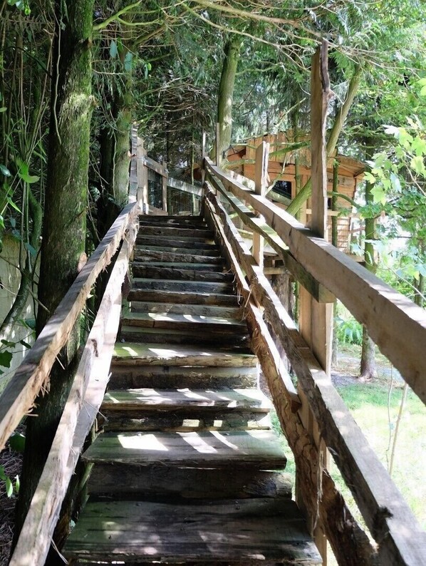 Una escalera de madera que sube hacia una estructura de madera rodeada de árboles.