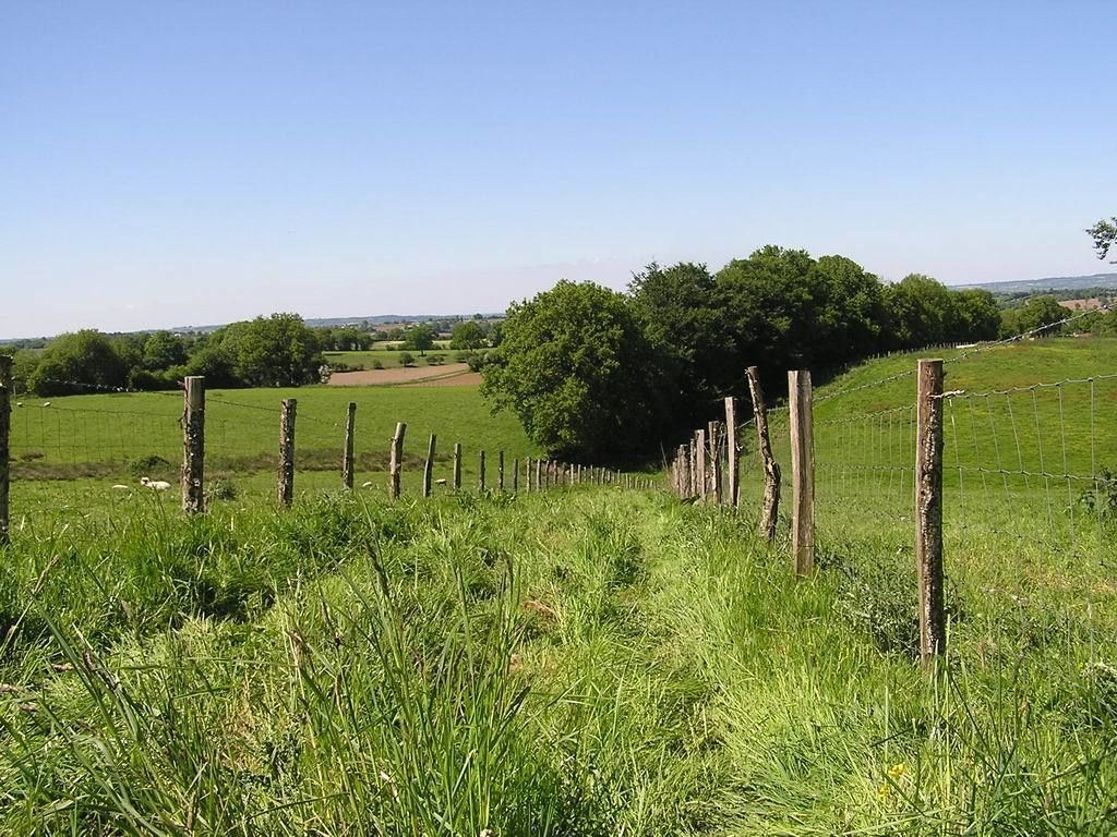 Ländliche Landschaft mit einer Wiese, einem Holzzaun und einem großen Baum im Hintergrund.