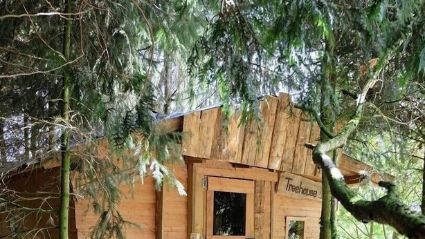 Entrada a una casa del árbol de madera con un letrero que dice 'Treehouse'.