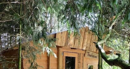 Cabane dans les Arbres - Tree House