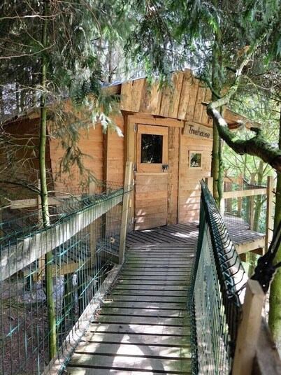 Cabane dans les Arbres - Tree House