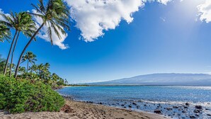 A beach with palm trees, a clear blue sky, and a mountain in the background. - Maalaea Banyans 411 - Modern Renovation, Direct Ocean Front, Incredible View, AC (Wailuku)