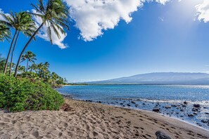 Ein Strand mit Palmen, blauem Himmel und einem Berg im Hintergrund.