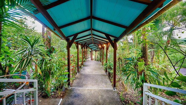 A covered walkway with a tiled floor, surrounded by lush tropical vegetation. - Pinpin d'Amour (Saint-Philippe)