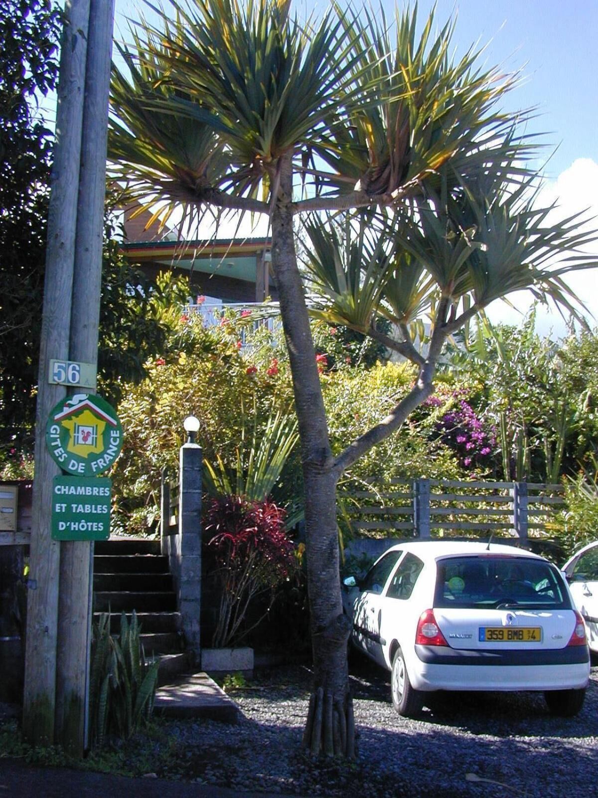 A building with a sign indicating it is a 'CHAMBRES ET TABLES D'HOTES' hotel. There is a palm tree in front of the building, and a car is parked in the driveway.
