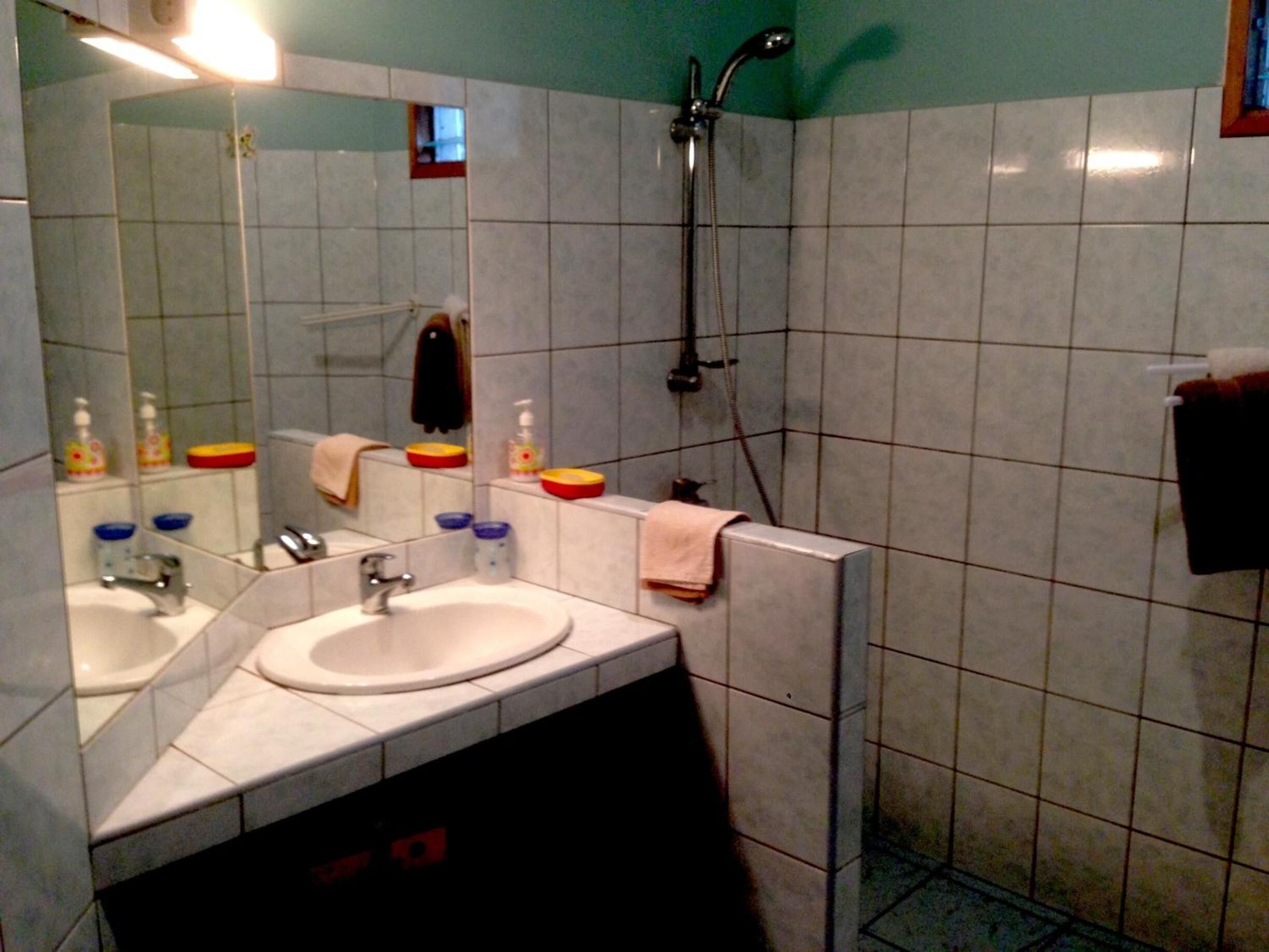 A bathroom with two sinks, a mirror, a shower, and tiled walls.