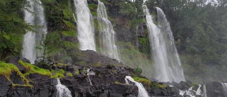 A waterfall cascading over rocks with a forested background.
