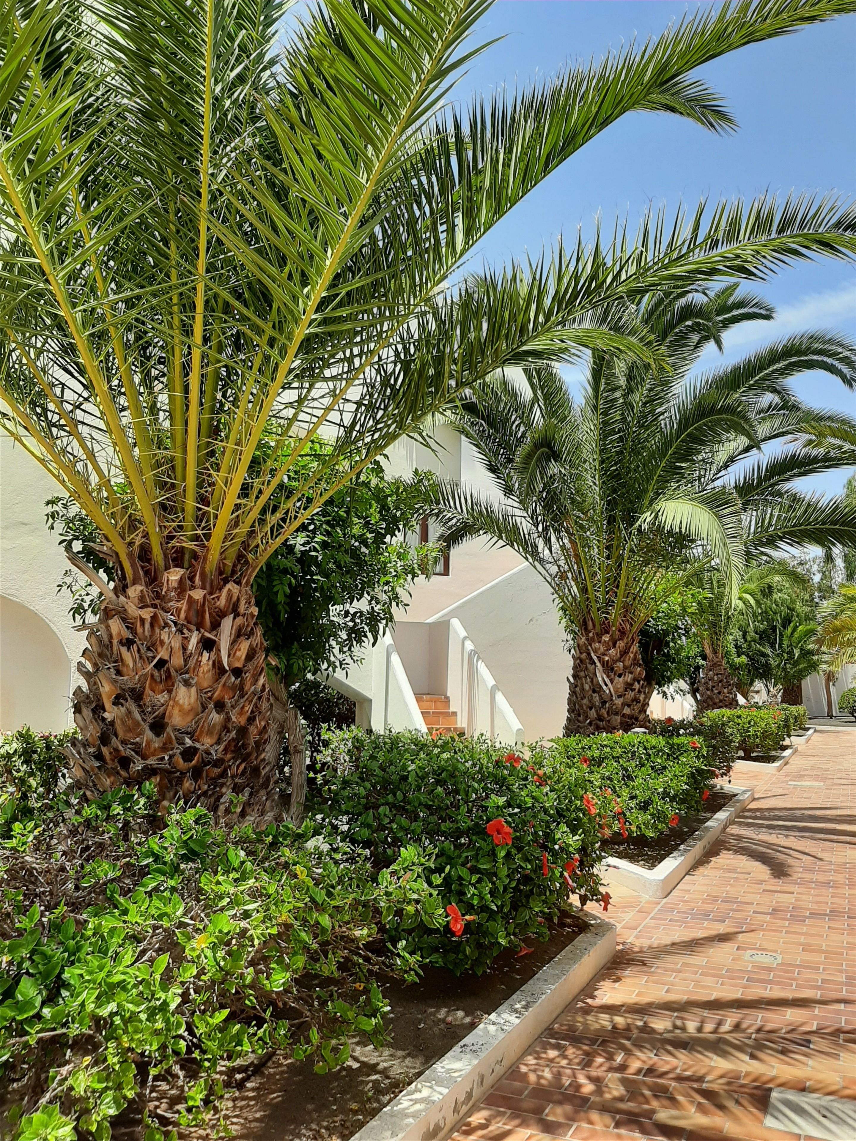 アパートメント 1 ベッドルーム ガーデンビュー | リビング エリア | 薄型テレビ、おもちゃ