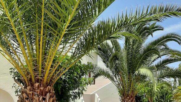 Apartment, 1 Bedroom, Garden View | Living area | Flat-screen TV, toys - Teguisol (Teguise)