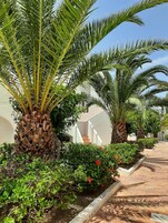 Apartamento, 1 habitación, vistas al jardín | Zona de estar | Una televisión de pantalla plana, juguetes