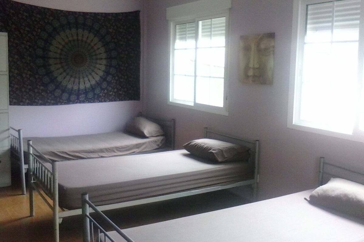 Habitación compartida con dos camas individuales, una ventana y un tapiz en la pared.
