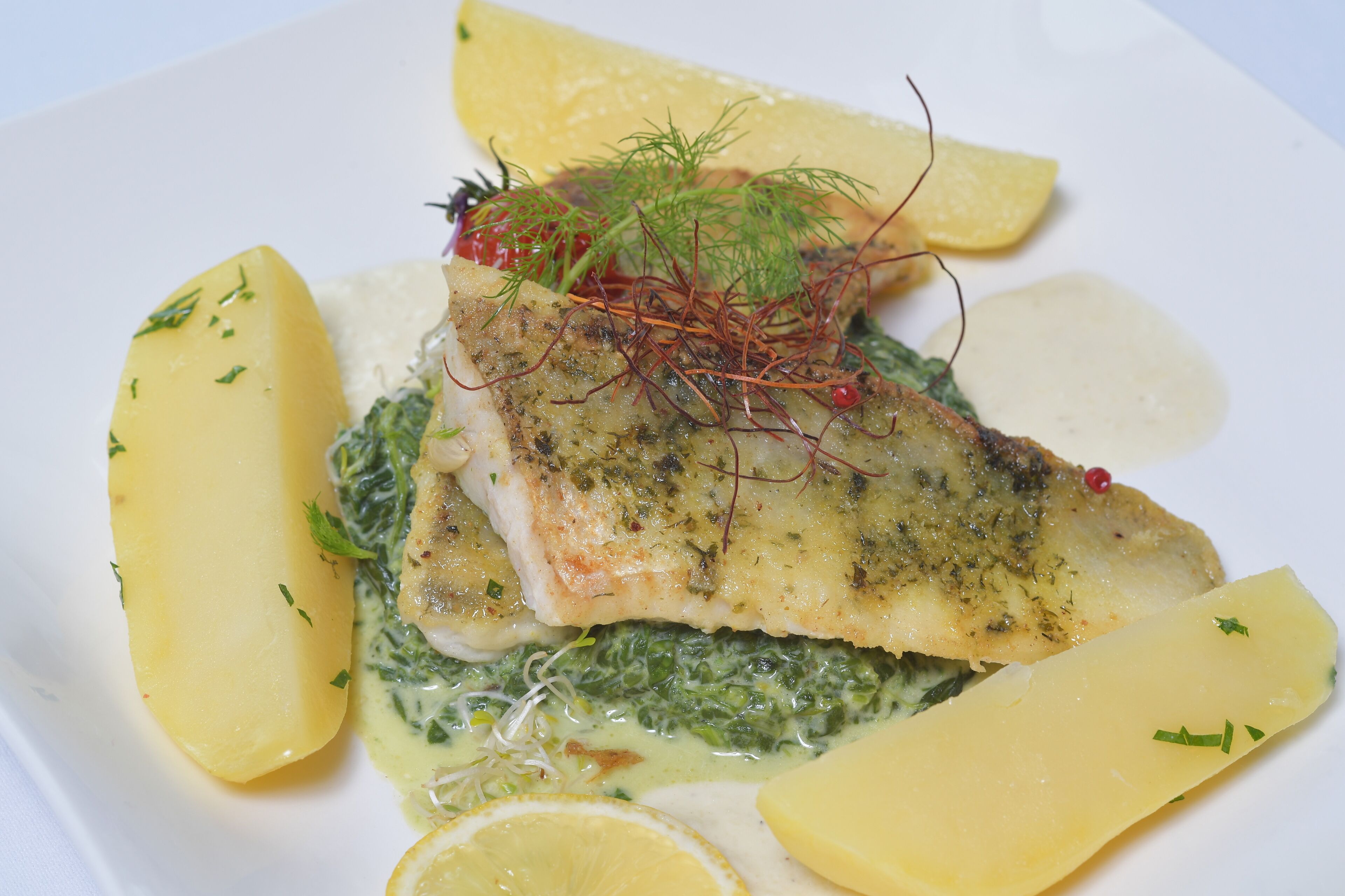 A plate with a fish fillet, lemon slices, and a creamy sauce.