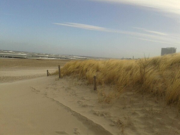 Nära stranden