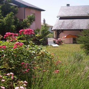 Trädgård