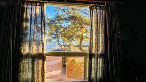 Une fenêtre avec des rideaux, une vue sur les arbres et un balcon avec une balustrade.