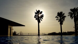 A swimming pool with palm trees and a building in the background.