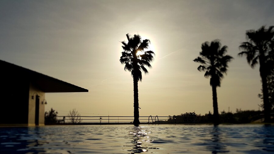 PalĂĄcio SĂŁo Silvestre - Boutique Hotel