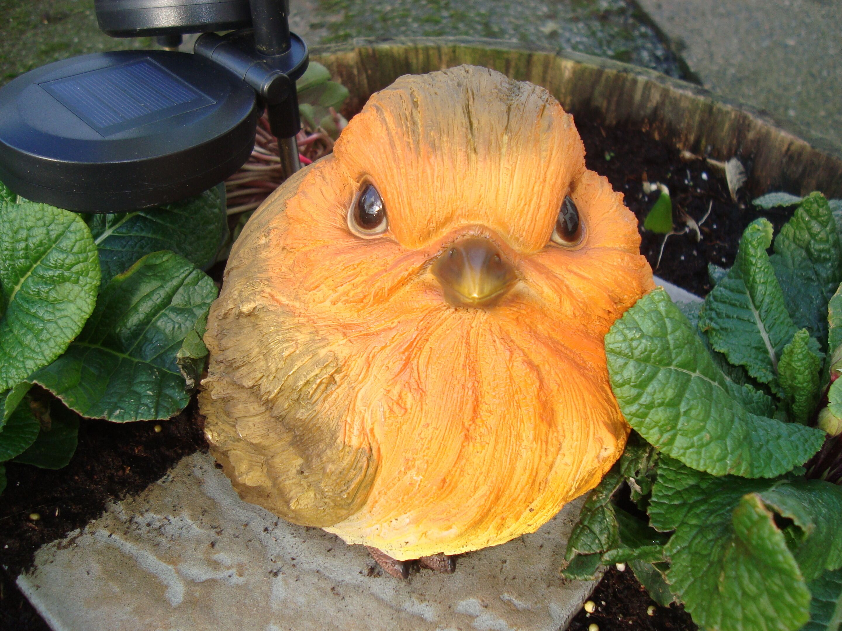 Een vogelbeeldje in een tuin, met een zonnepaneel in de buurt.