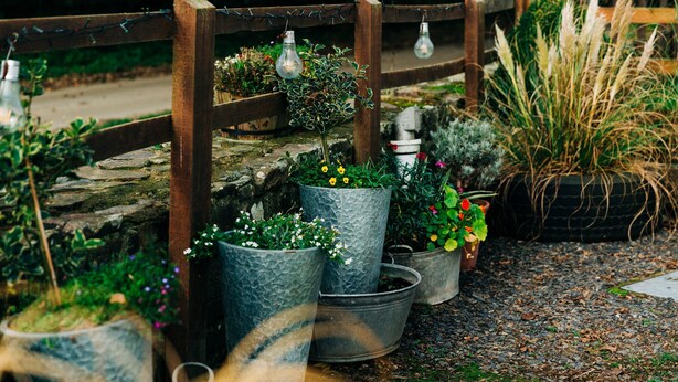 Un jardín con diversas plantas en macetas y una valla de madera.