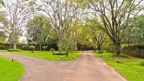 A paved pathway in a park with trees and grass on both sides. - Kenmosa Resort (Eldoret)