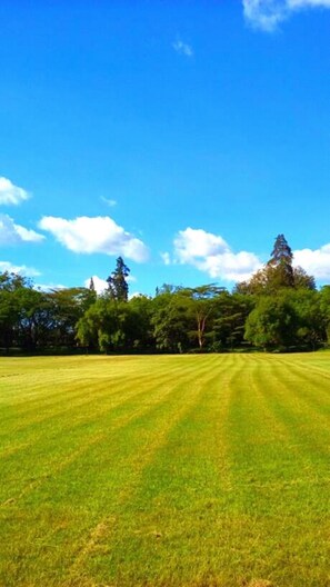 A grassy field with trees and a clear blue sky. - Kenmosa Resort (Eldoret)