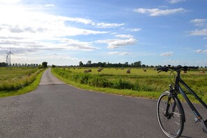 Niet-geclassificeerde afbeelding, 2 van 16, knop