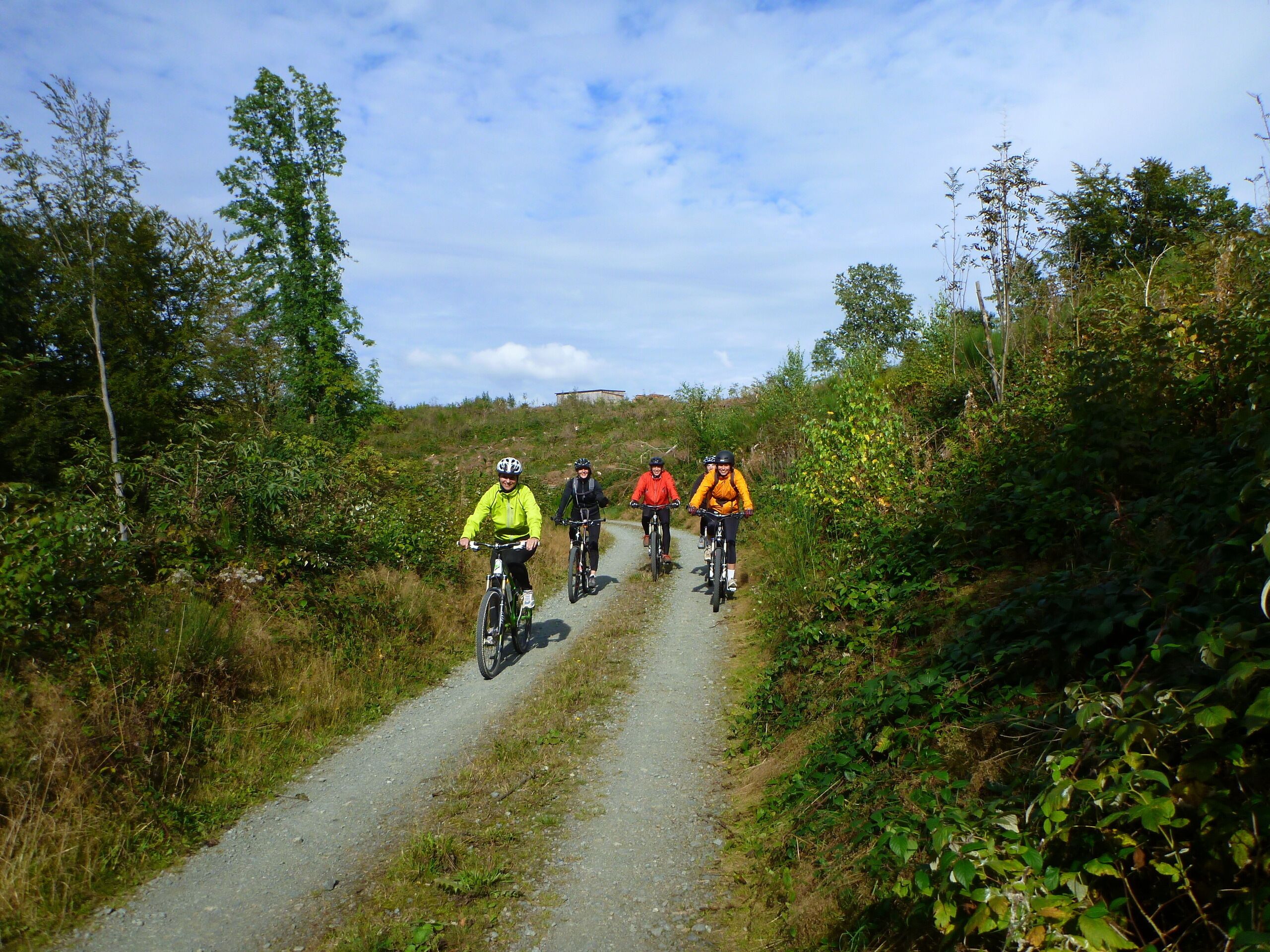 Eine Gruppe Radfahrer auf einem Schotterweg, umgeben von viel Grün.