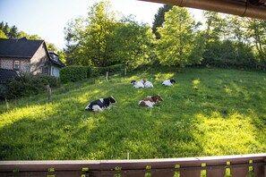 Exterior - Landidyll Landaus Liesetal (Hallenberg)