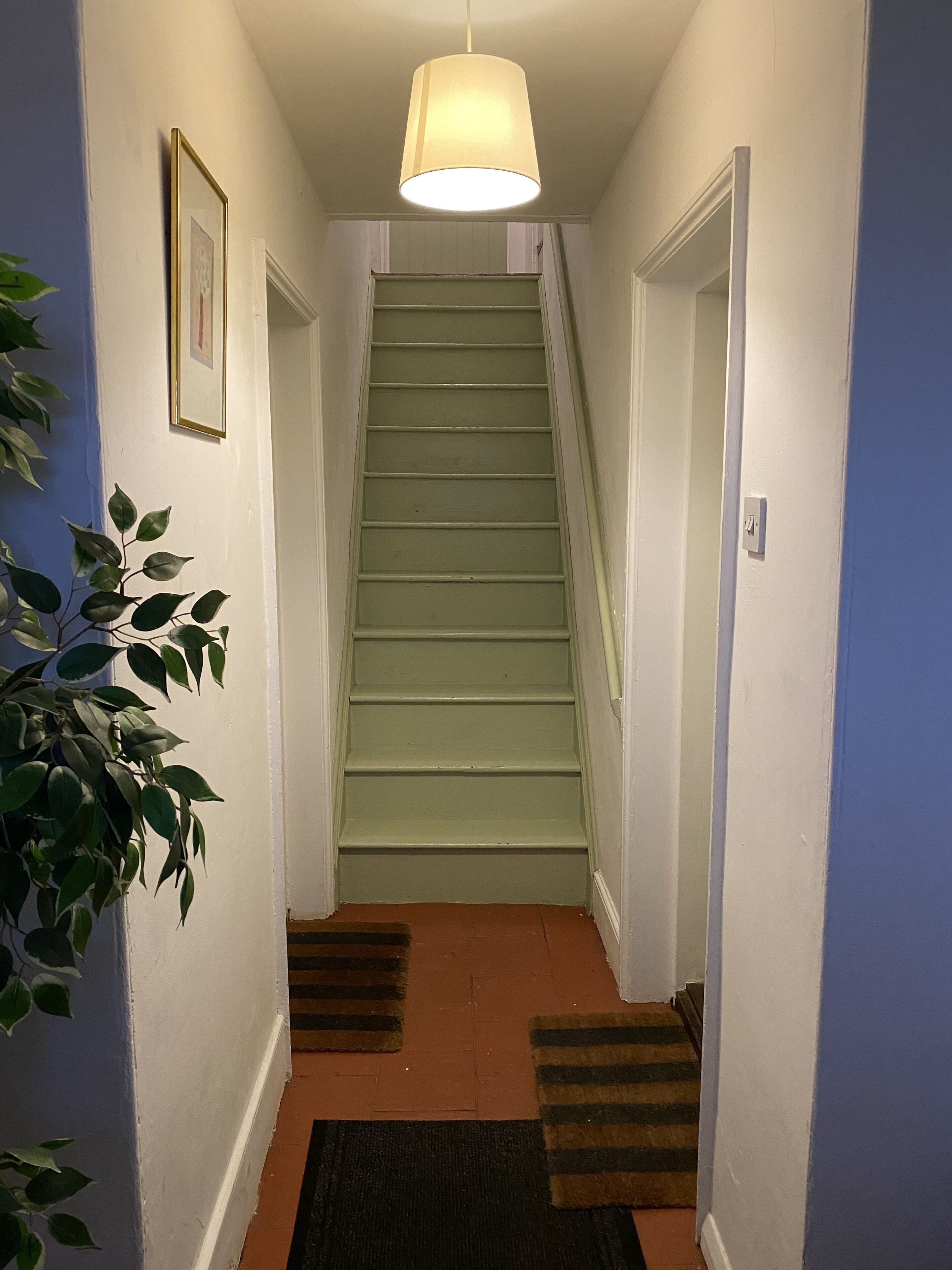 Un pasillo con una escalera, una lámpara colgante y una planta en maceta.