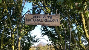 Une pancarte en bois indiquant « ACCÈS À LA RÉSERVE NATURELLE » est fixée au-dessus d’une porte en métal.