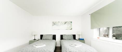 Une chambre avec deux lits, une fenêtre, un radiateur et un tableau accroché au mur.