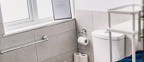 Une salle de bain avec des toilettes, un porte-serviettes et une fenêtre.