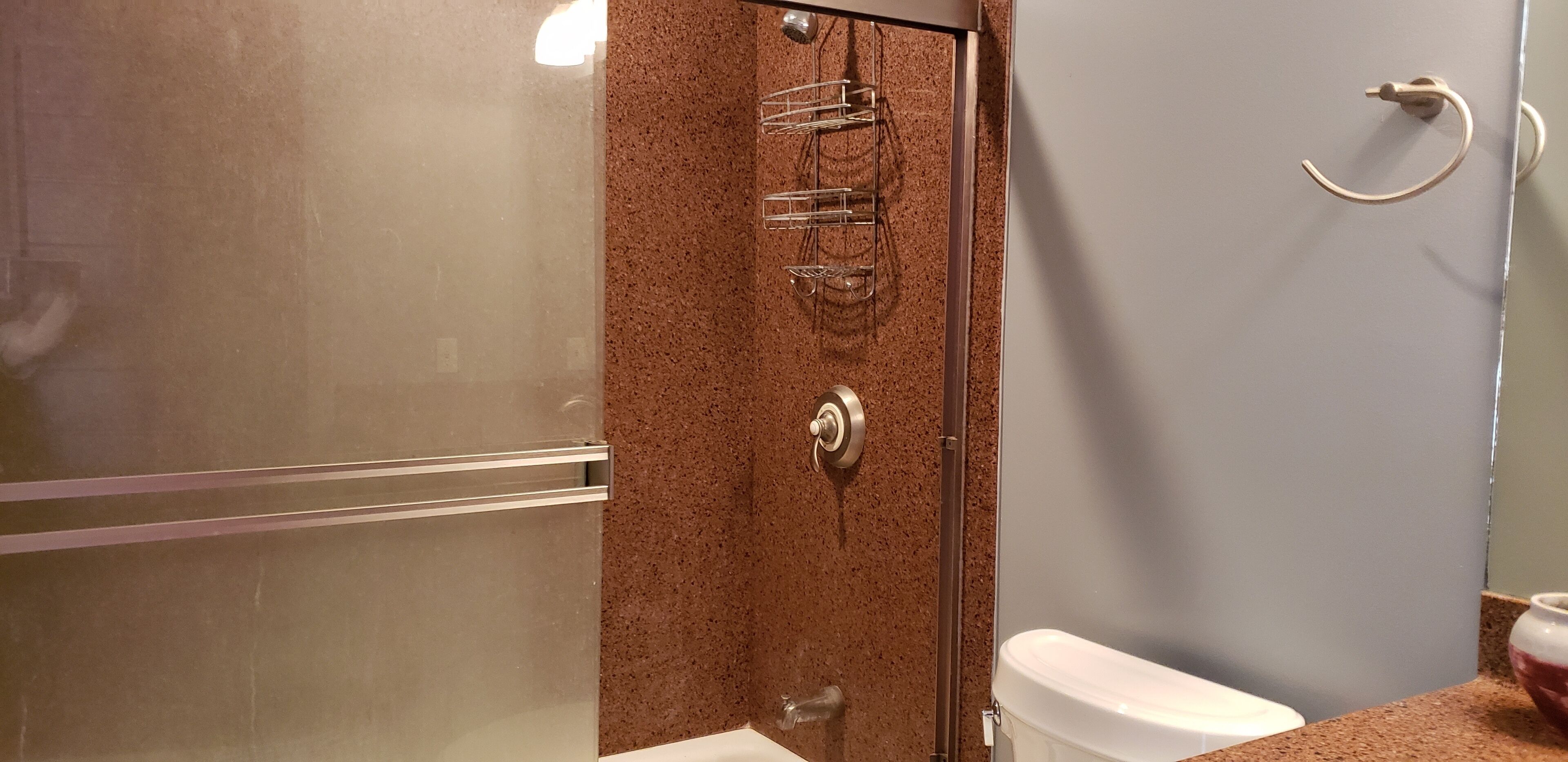 Une salle de bain avec une douche à parois de verre, des toilettes et un lavabo avec un plan de travail.