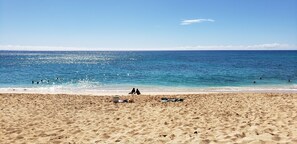 Camastros y toallas de playa 