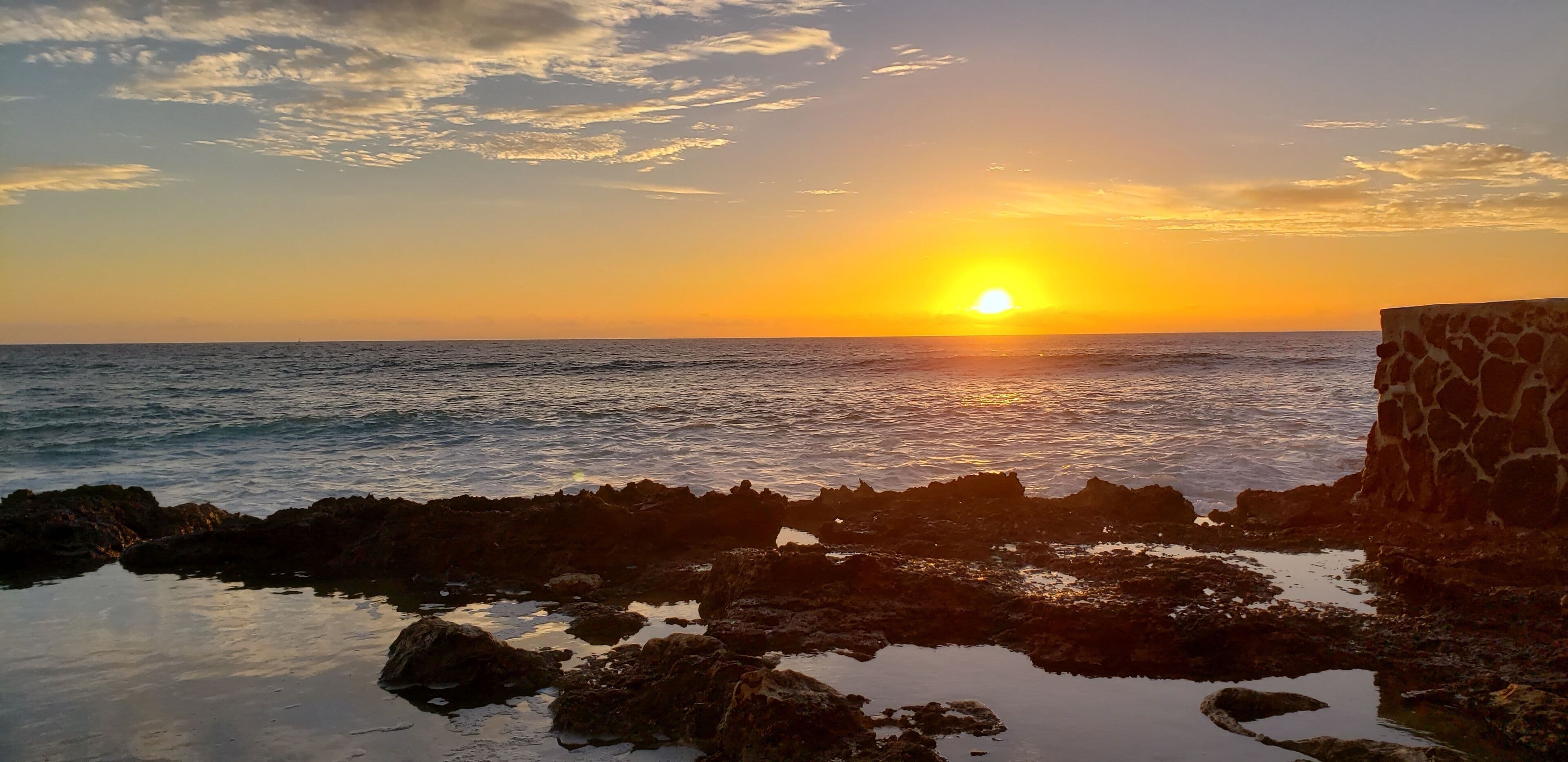 Luxurious Guest home  w/Swimming Pool Just Steps away from the Ocean/Beach.