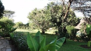 Ein Garten mit einem Kiesweg, verschiedenen Bäumen und einer kleinen Struktur.