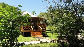 Eine Holzhütte mit Veranda, umgeben von üppiger Vegetation und Bäumen.