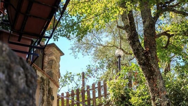 Una escalera de piedra que conduce a una valla de madera, rodeada de follaje y un cielo despejado.