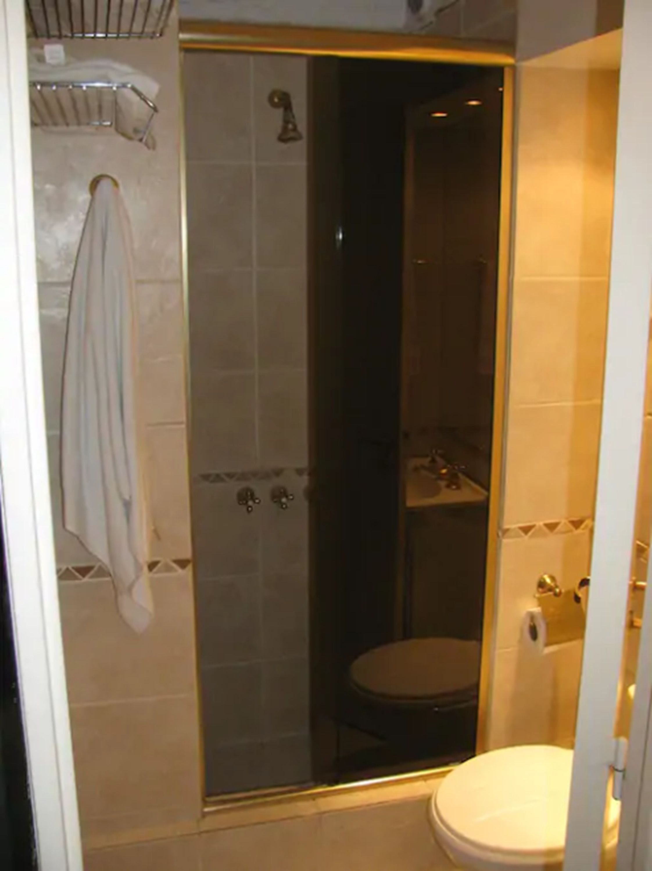 A bathroom with a glass-enclosed shower, a toilet, and a towel rack.