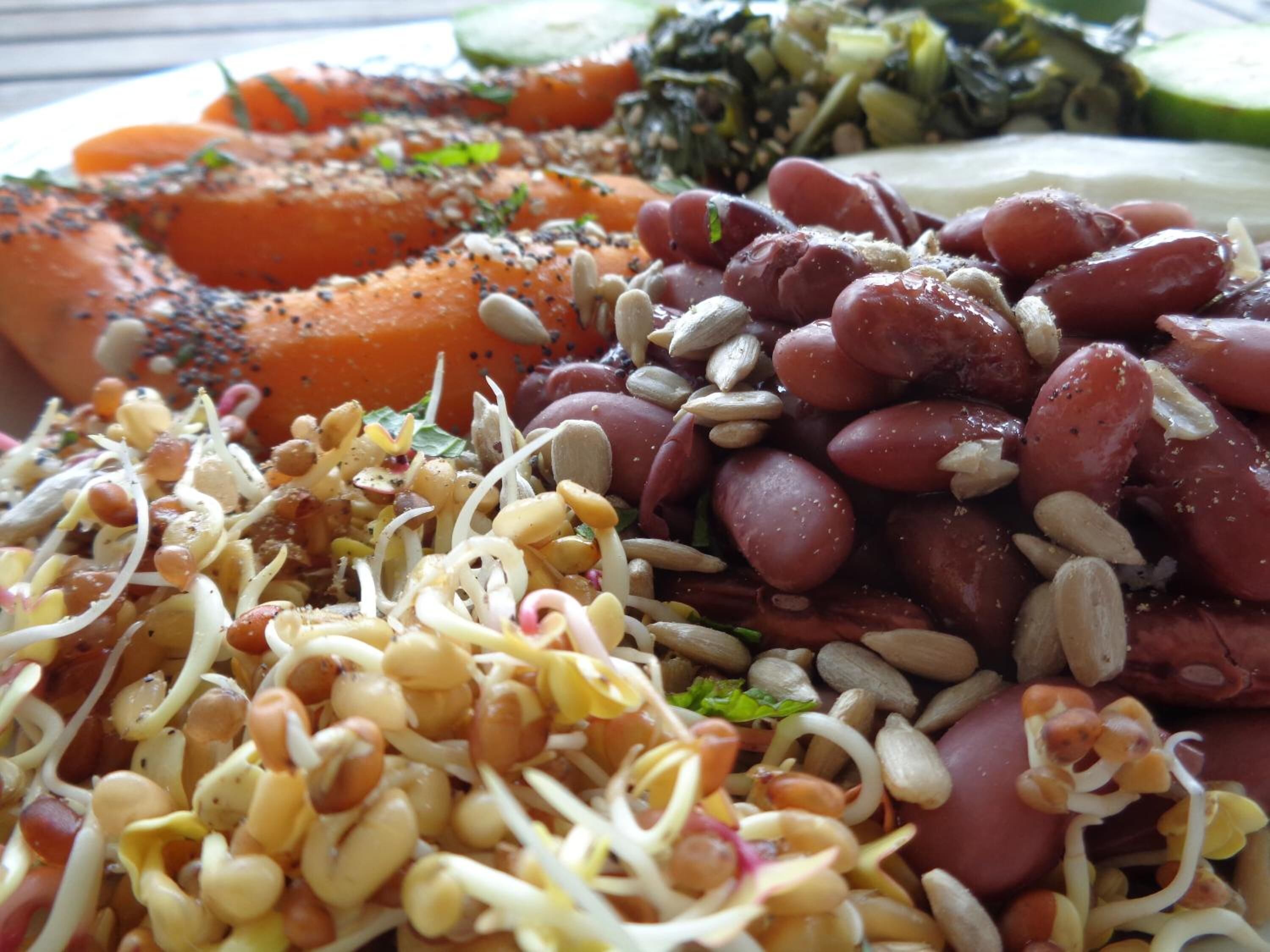 Prato com legumes variados, incluindo cenouras, feijão, brotos e folhas verdes.