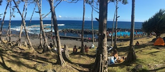 L'Arbre de Vie