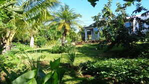 Um jardim exuberante com diversas plantas e um edifício de fachada branca.