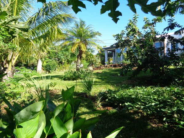 Jardin