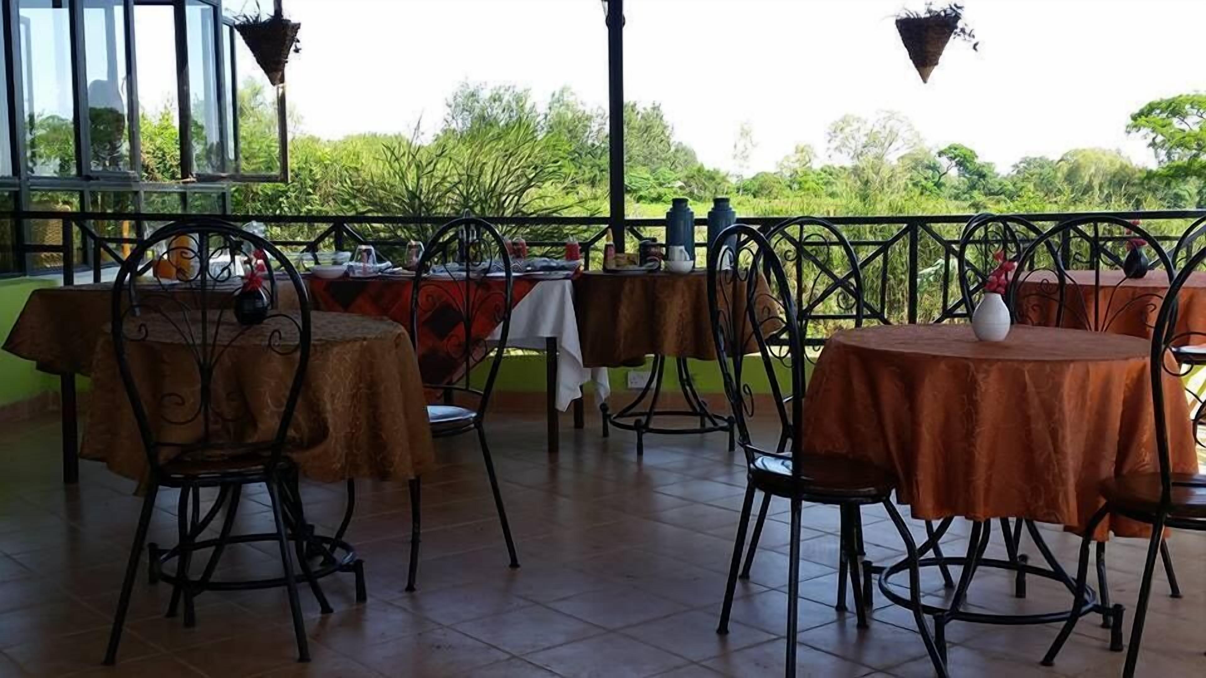 Un patio al aire libre con mesas y sillas, rodeado de follaje.