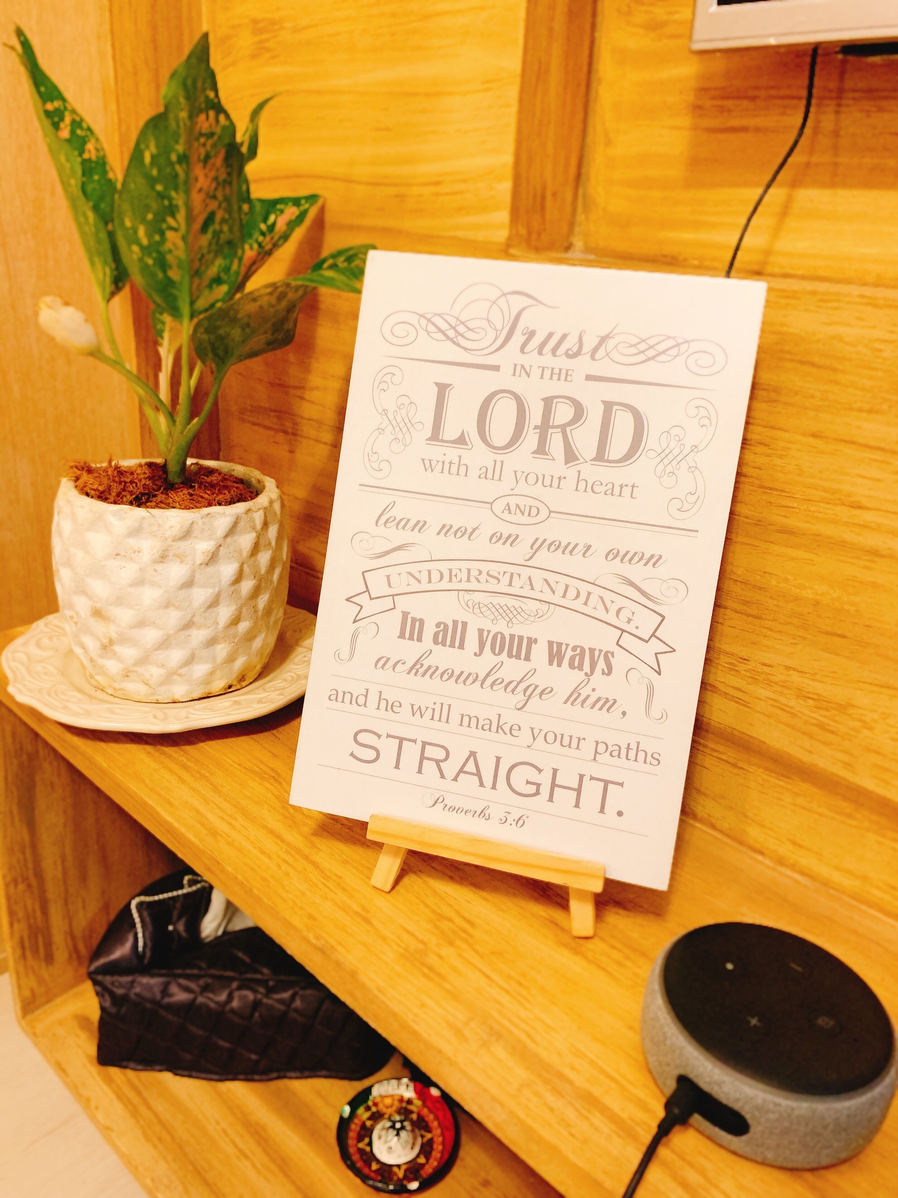 Luxe Condotel near shopping malls and train station with Netflix/Wifi