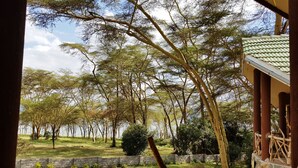 A view of a grassy area with trees and a stone wall. - Oleitiko Cottages (Naivasha)