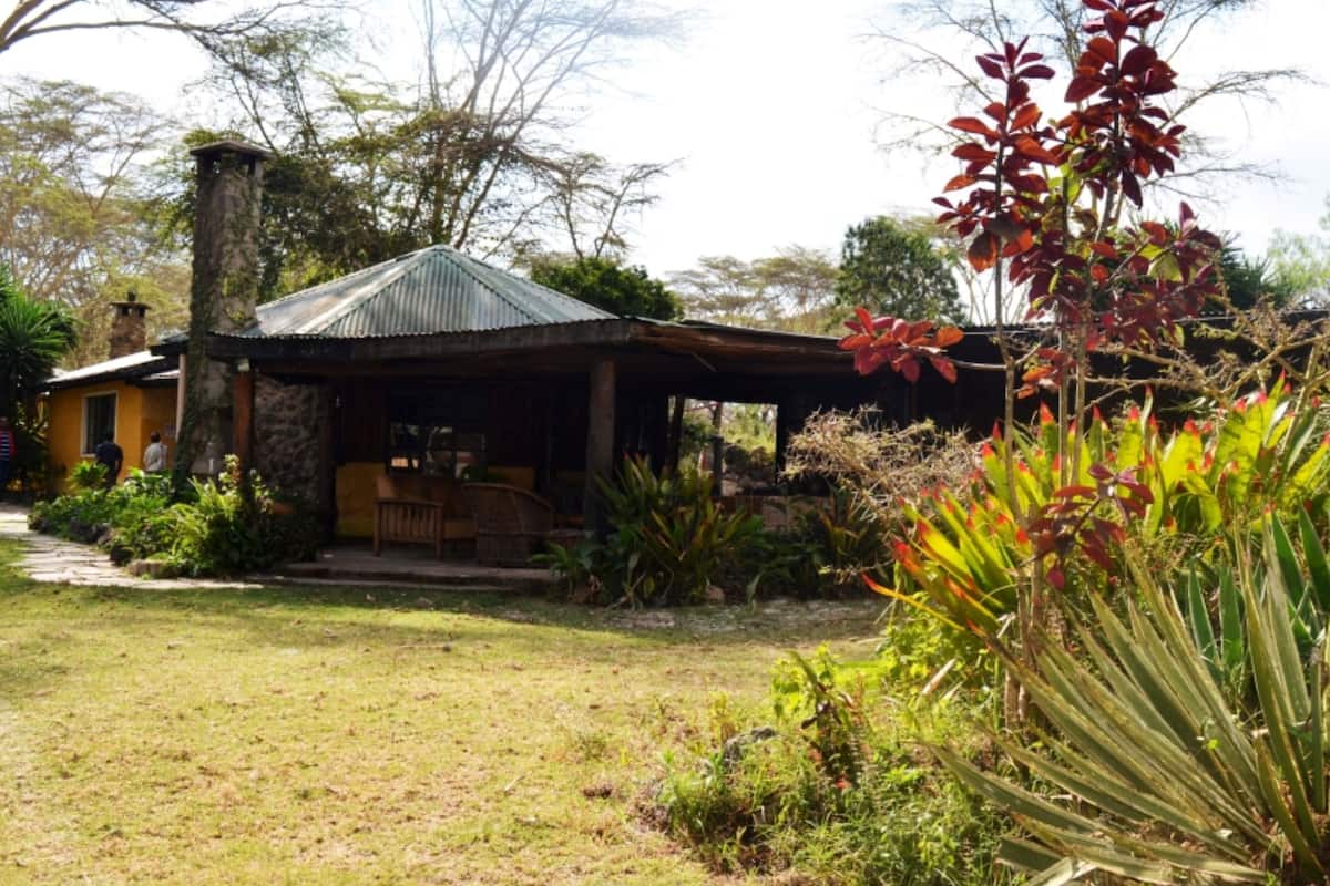 A rustic house with a stone chimney, a wooden porch, and a well-maintained garden with various plants and a large agave plant.